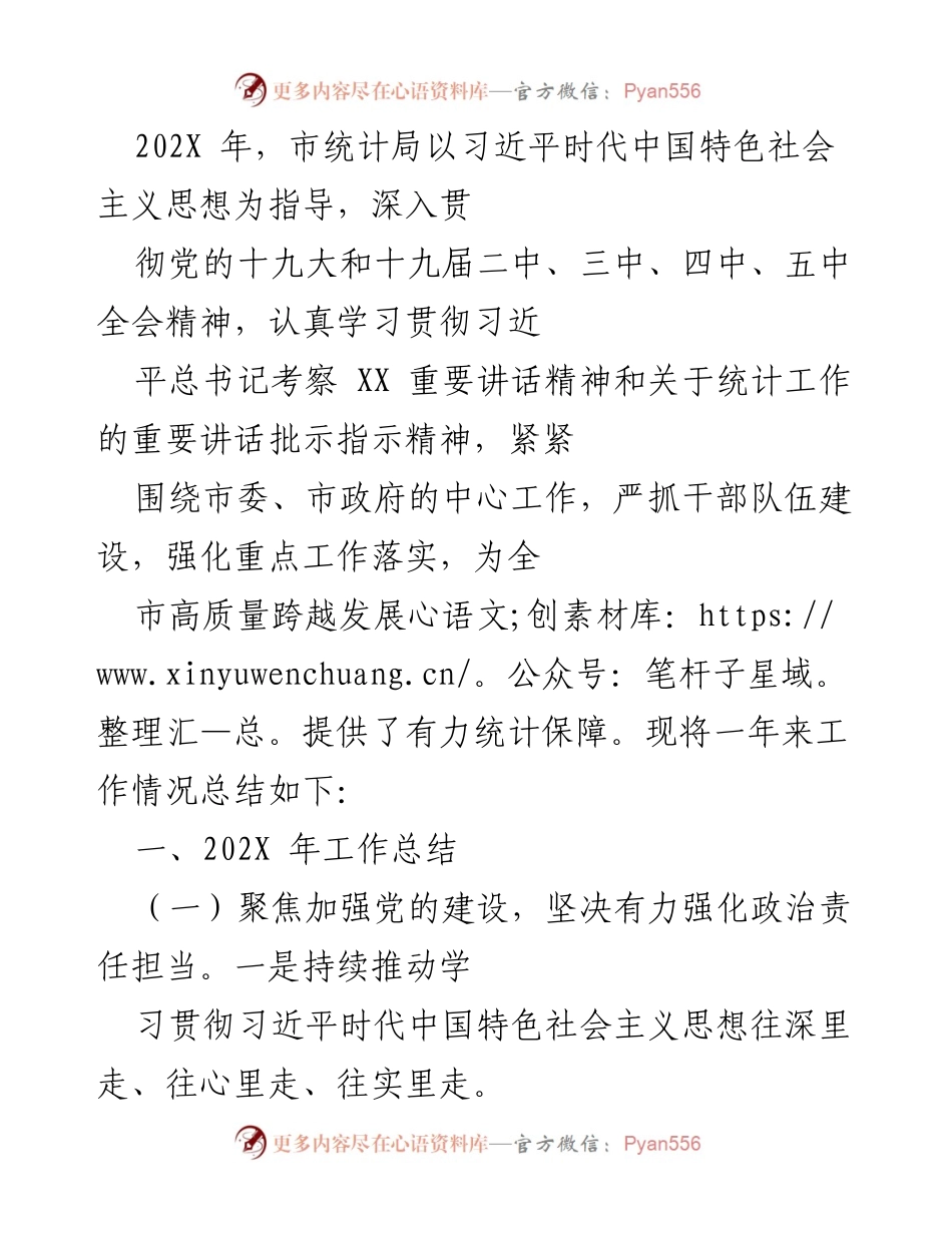 [工作总结] 年度总结 - 202X年市统计局工作总结与党建成果报告.docx_第1页