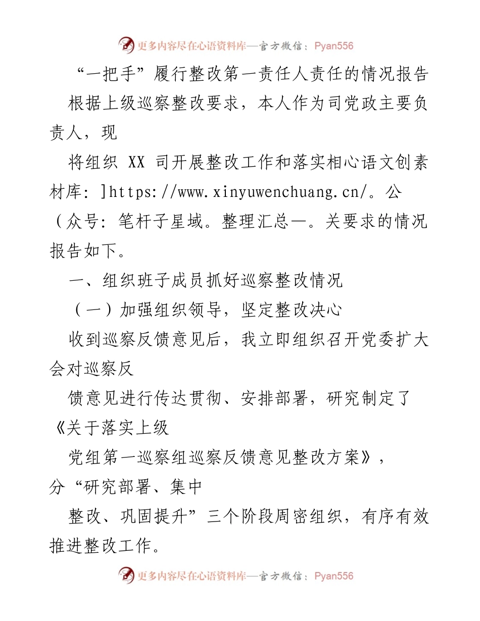 [工作总结] 巡察整改 - “一把手”履行整改第一责任人责任情况报告.docx_第1页