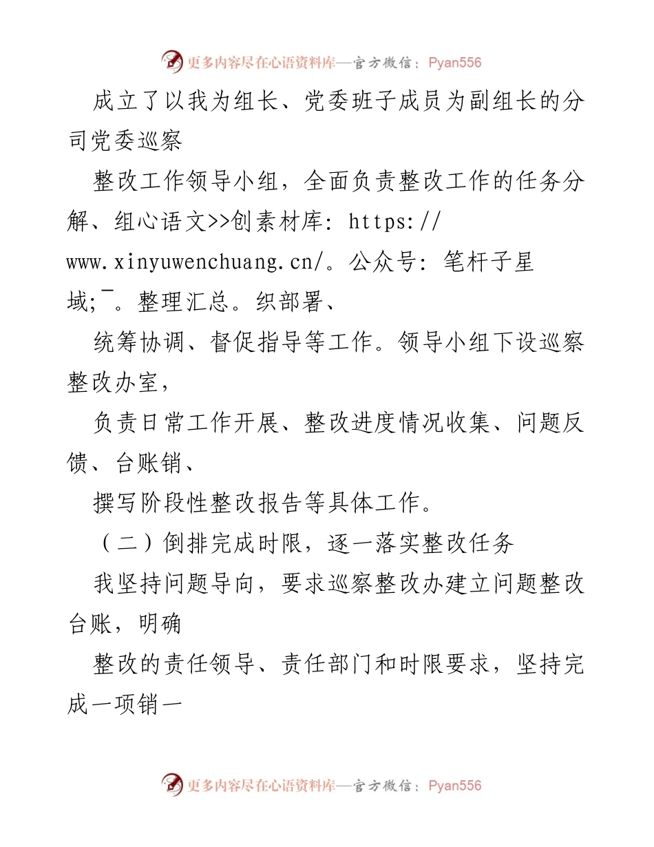 [工作总结] 巡察整改 - “一把手”履行整改第一责任人责任情况报告.docx_第2页