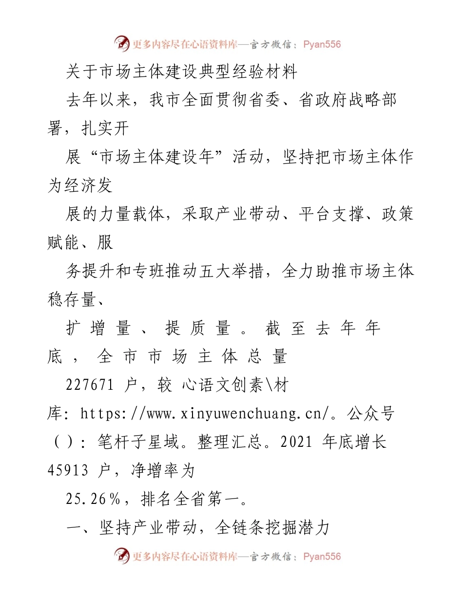 [工作总结] 市场主体建设年活动 - 市场主体建设成效与经验总结.docx_第1页