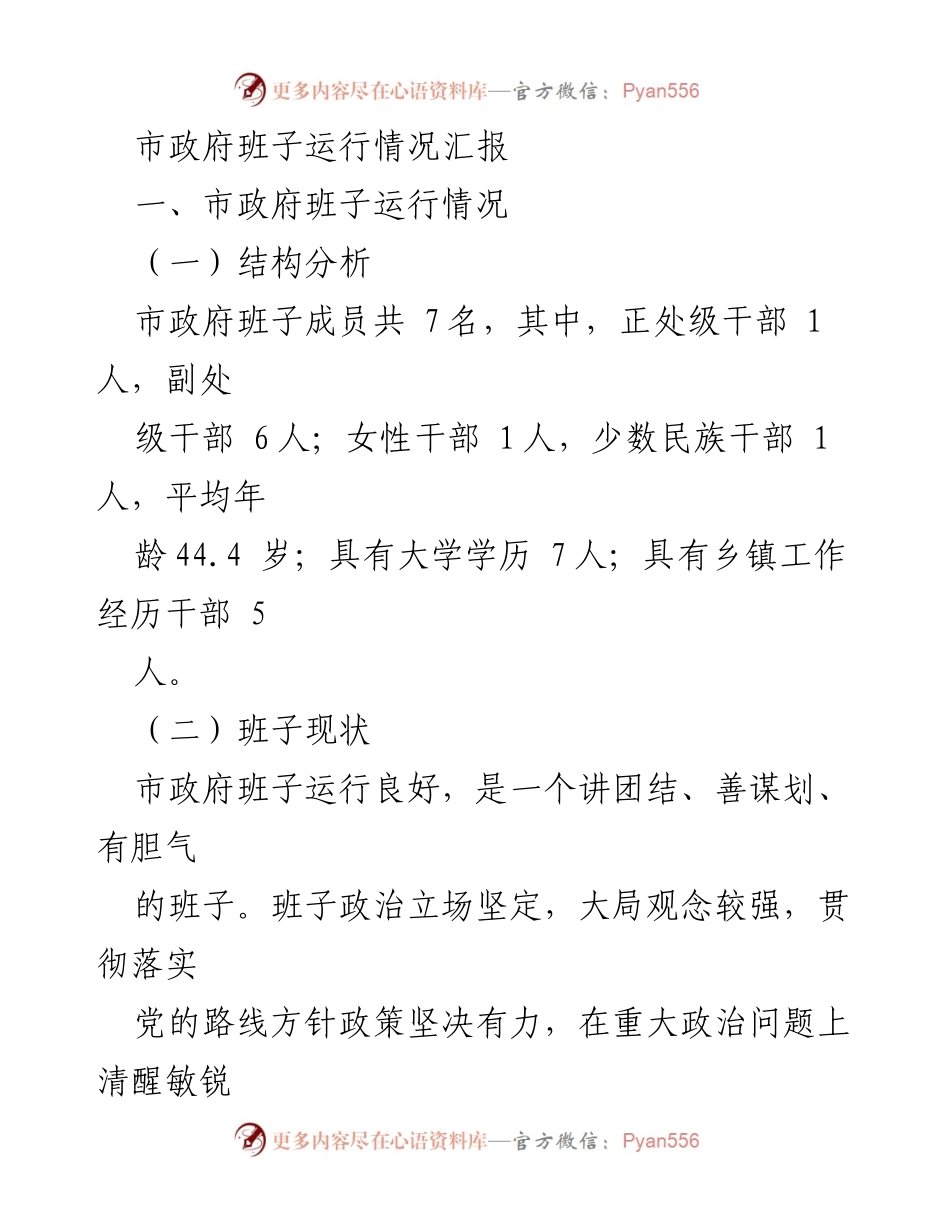 [工作总结] 市政府班子运行情况 - 市政府班子运行情况汇报.docx_第1页