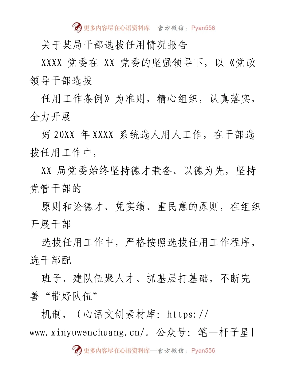 [工作总结] 干部选拔任用情况 - XX局干部选拔任用工作总结报告.docx_第1页