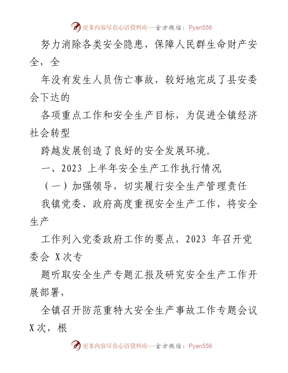 [工作总结] 安全生产工作 - 2023年某镇上半年安全生产工作总结.docx_第2页