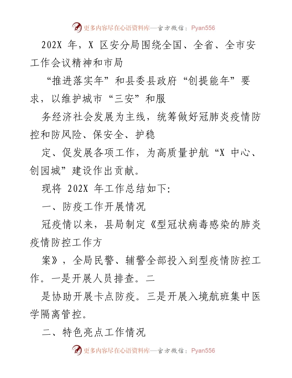 [工作总结] 安全工作会议 - 202X年X区安分局工作总结与成效分析.docx_第1页