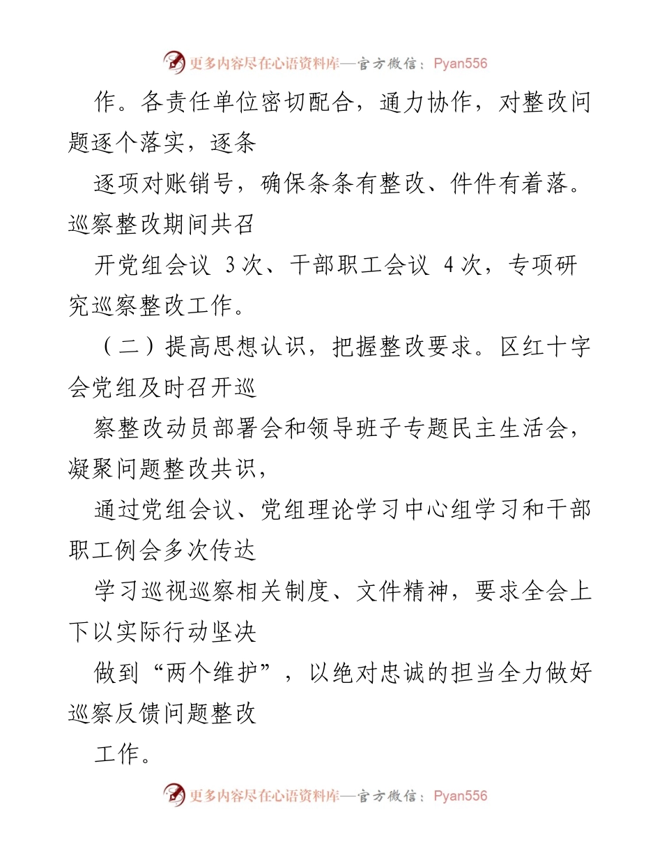 [工作总结] 巡察整改 - X区红十字会党组巡察整改进展情况报告.docx_第2页