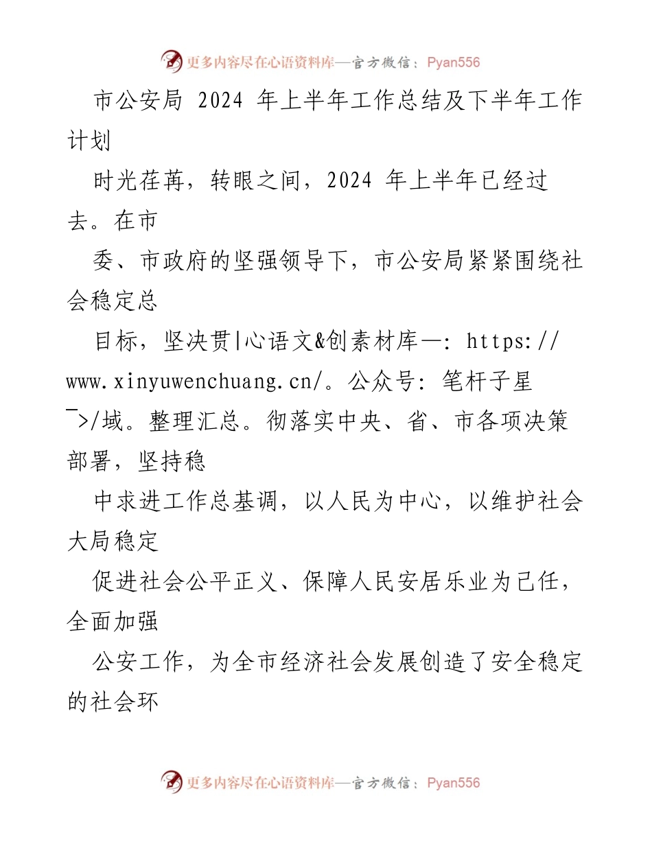 [工作总结] 市公安局 - 2024年上半年工作总结及下半年工作计划.docx_第1页