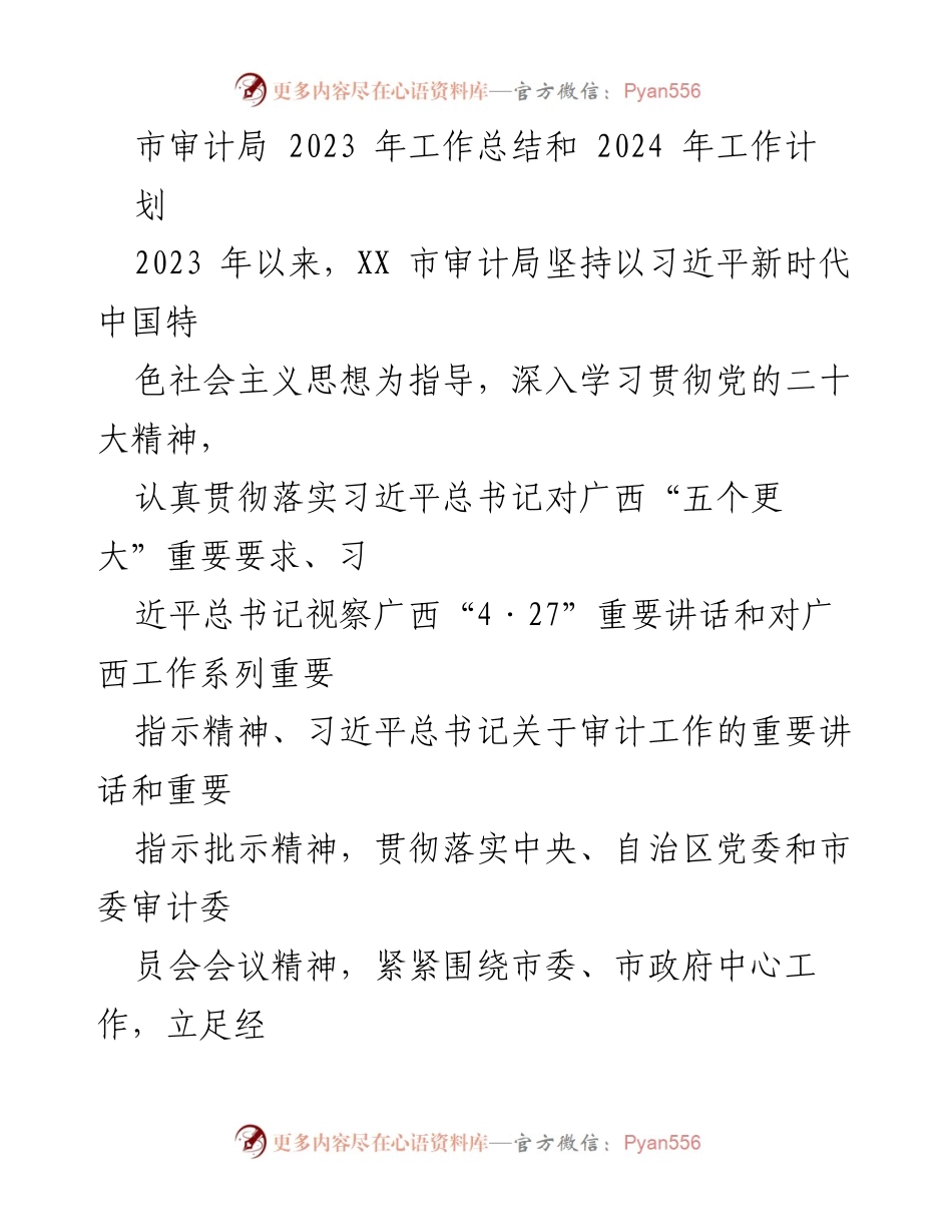 [工作总结] 市审计局 - 2023年工作总结与2024年工作计划报告.docx_第1页