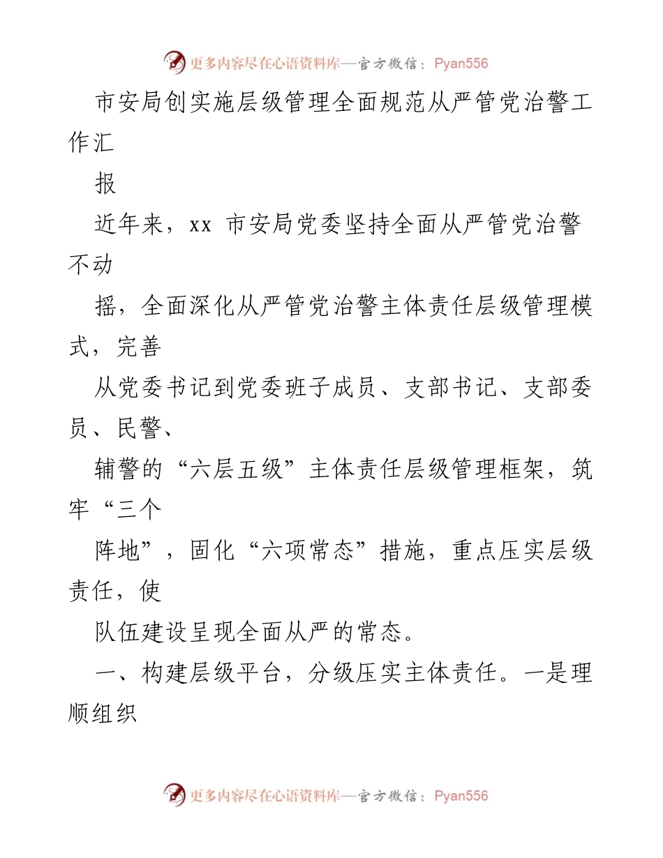 [工作总结] 市安局 - 全面从严管党治警工作层级管理实施报告.docx_第1页