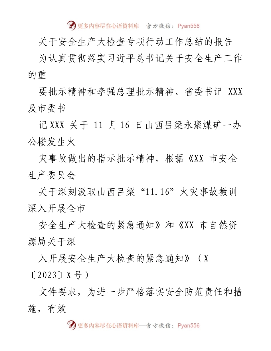 [工作总结] 安全生产大检查 - 安全生产大检查专项行动工作总结报告_1.docx_第1页