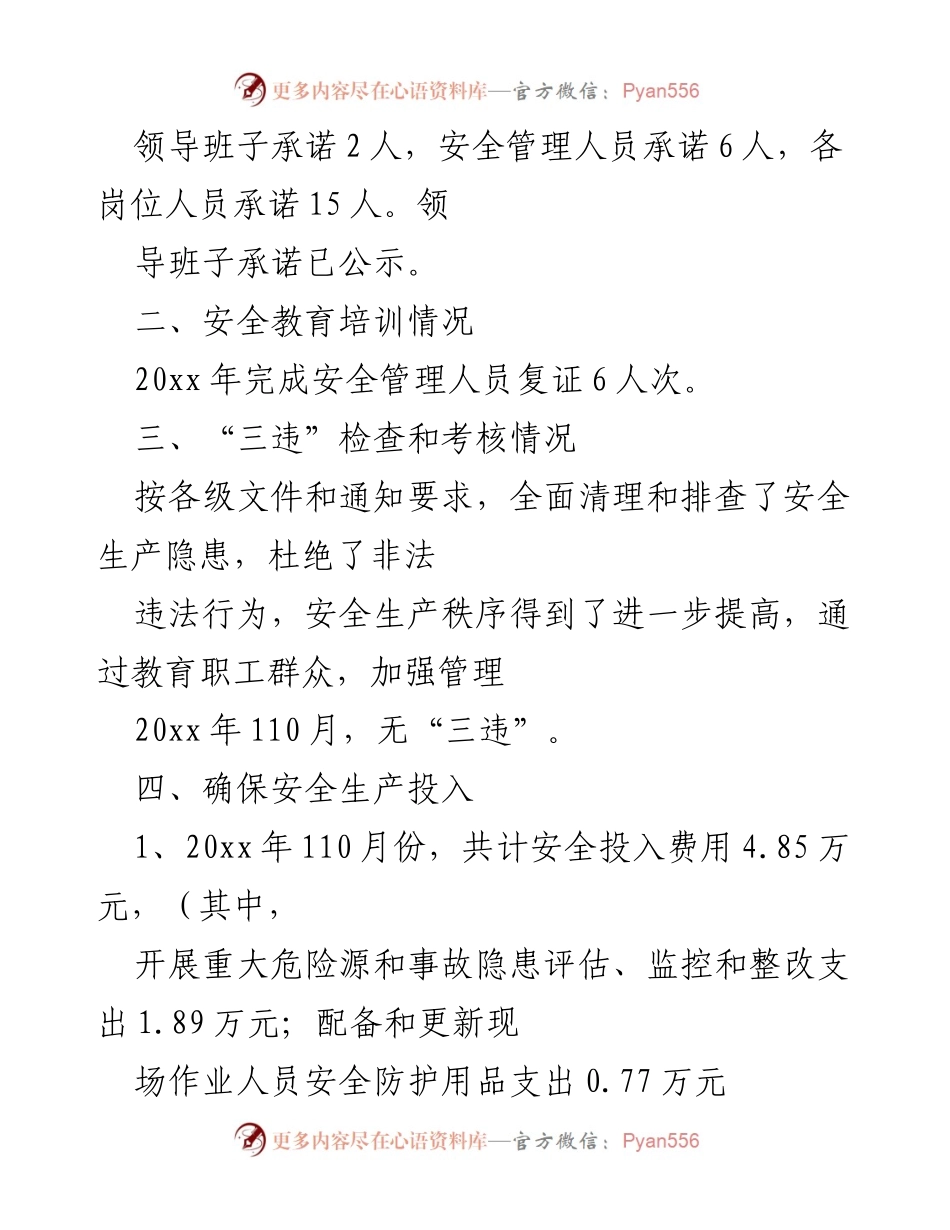 [工作总结] 年度安全生产 - XXXXX公司20xx年度安全生产工作总结.docx_第2页