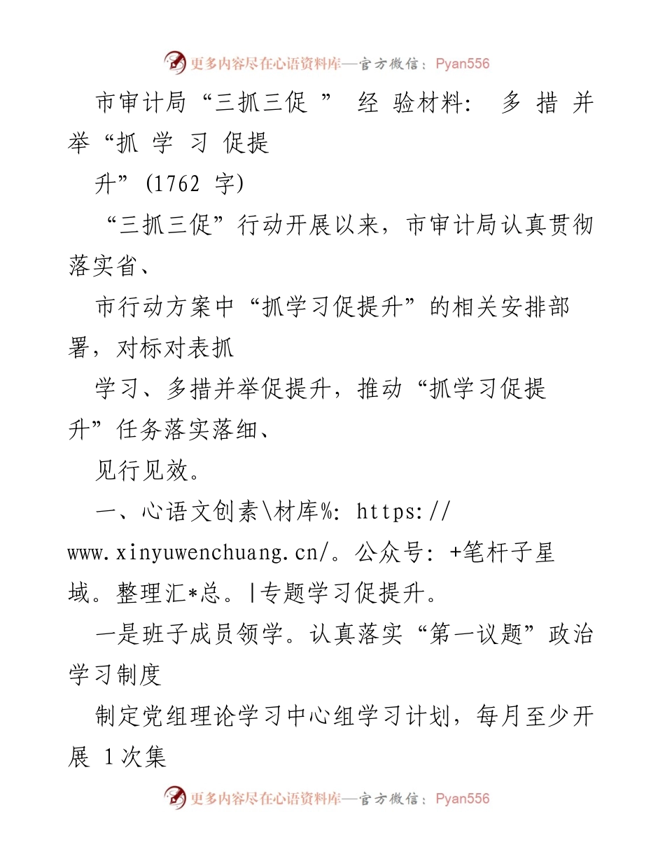 [工作总结] 市审计局 - “三抓三促”行动下的学习提升经验总结.docx_第1页