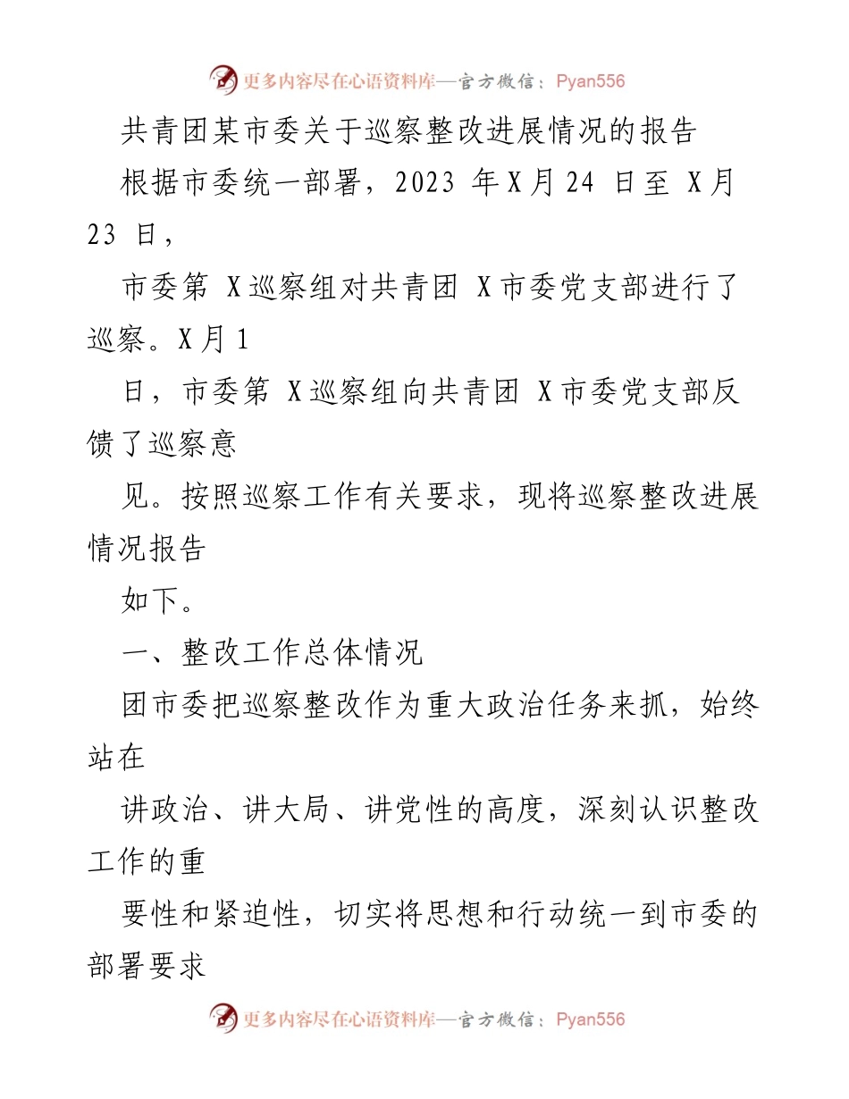 [工作总结] 巡察整改 - 共青团某市委巡察整改进展情况报告_1.docx_第1页