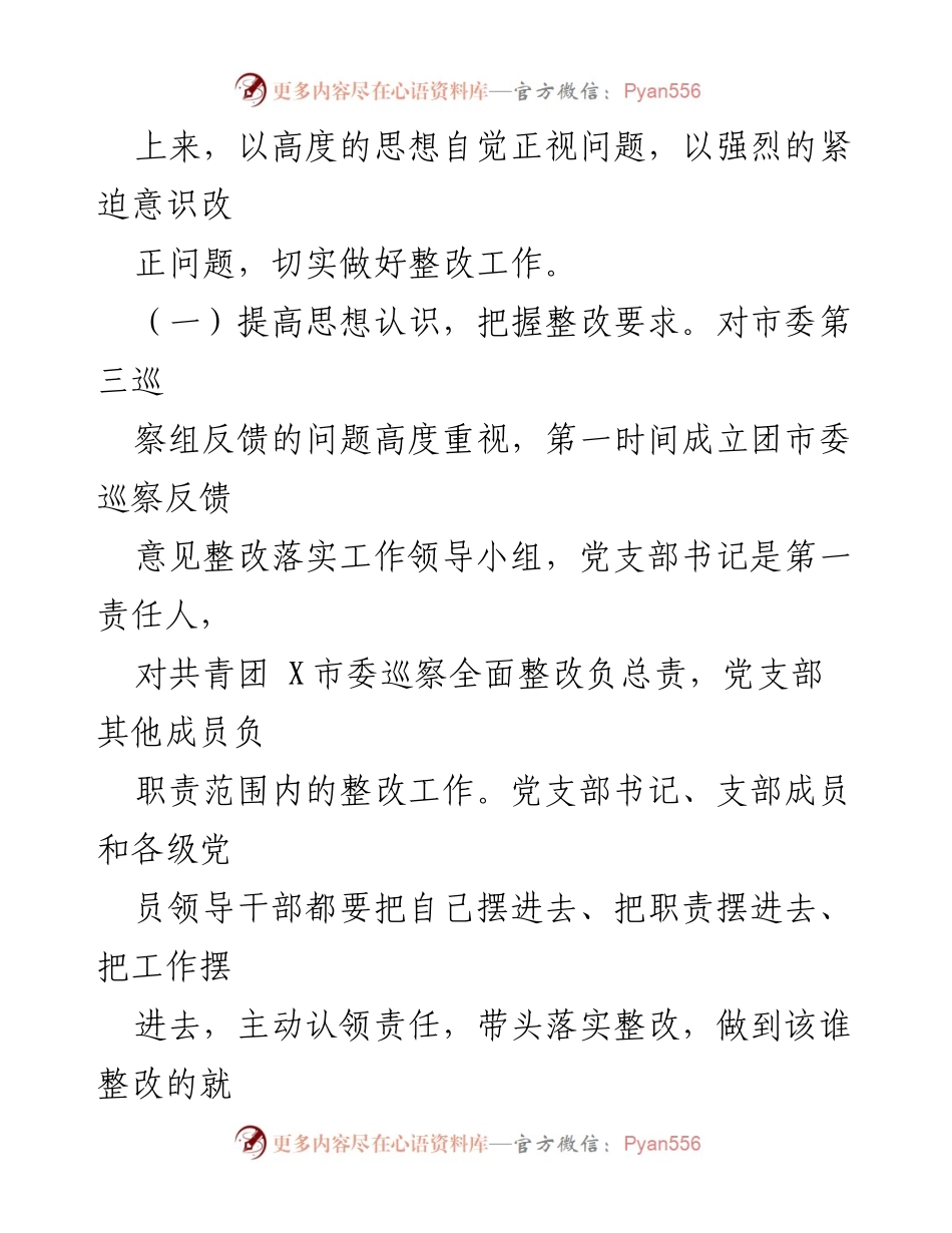 [工作总结] 巡察整改 - 共青团某市委巡察整改进展情况报告_1.docx_第2页