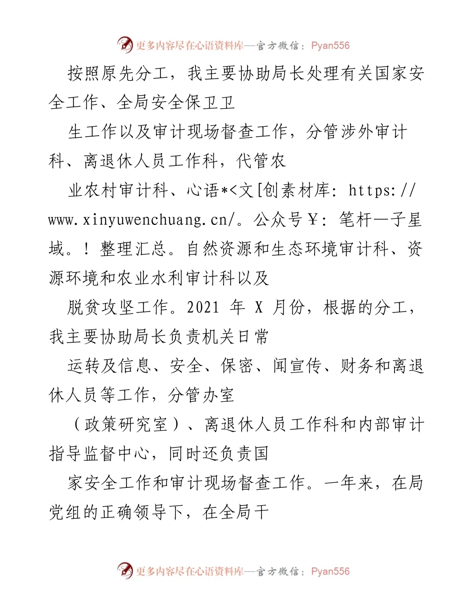 [工作总结] 年度工作汇报 - 2021年国家安全及审计工作总结报告.docx_第1页