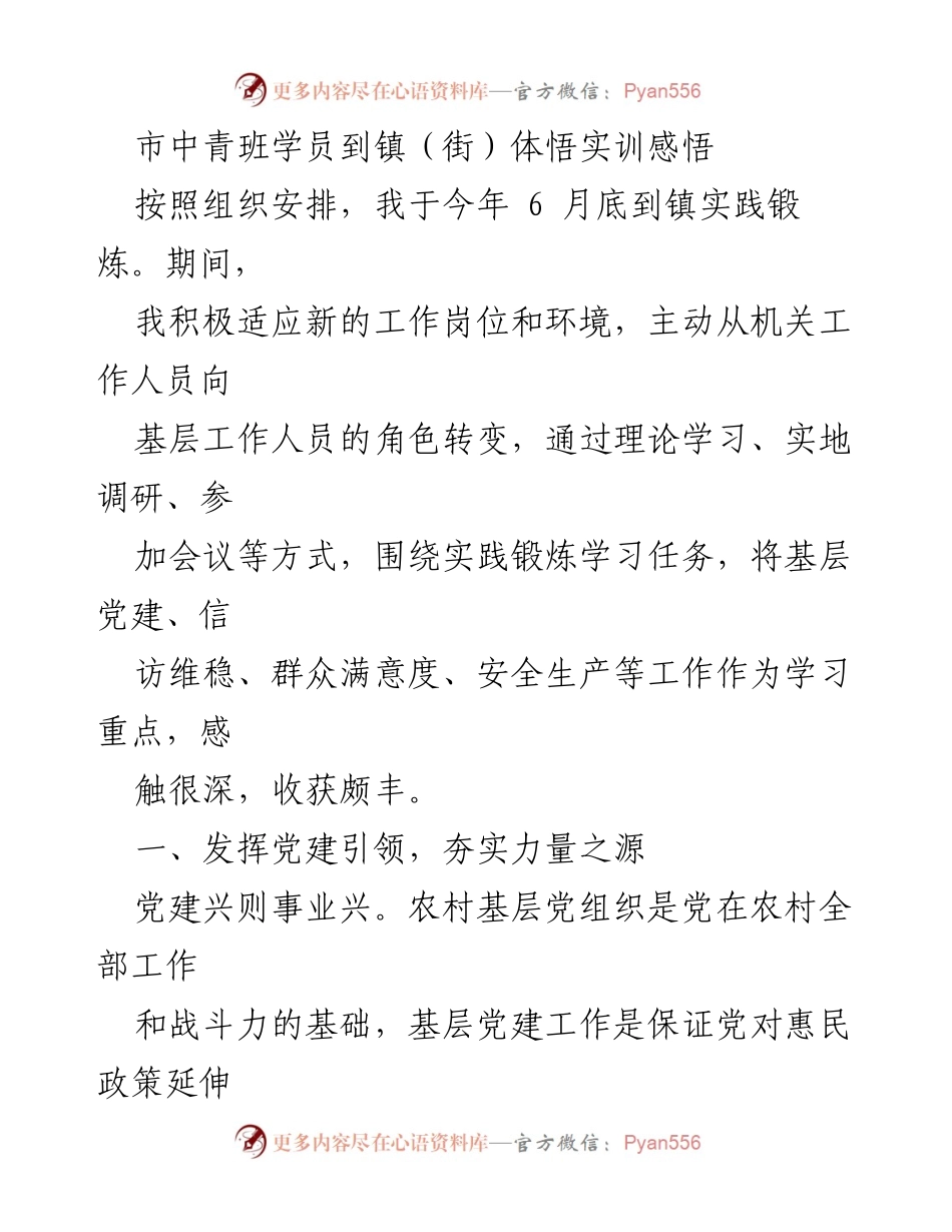 [工作总结] 实践锻炼 - 基层党建与服务工作实践总结.docx_第1页