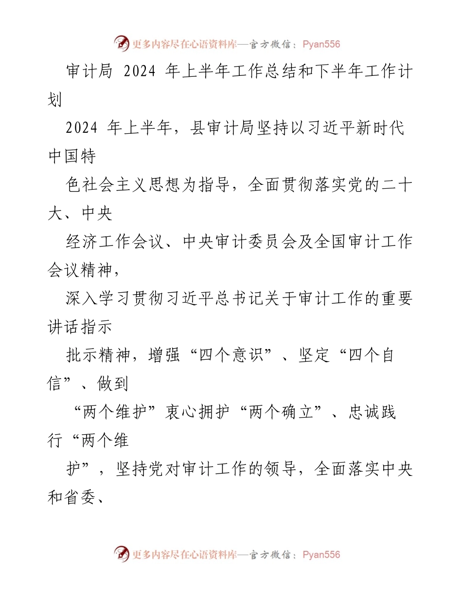 [工作总结] 审计局 - 2024年上半年工作总结与下半年工作计划_1.docx_第1页
