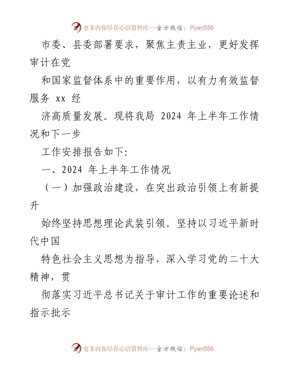 [工作总结] 审计局 - 2024年上半年工作总结与下半年工作计划_1.docx_第2页