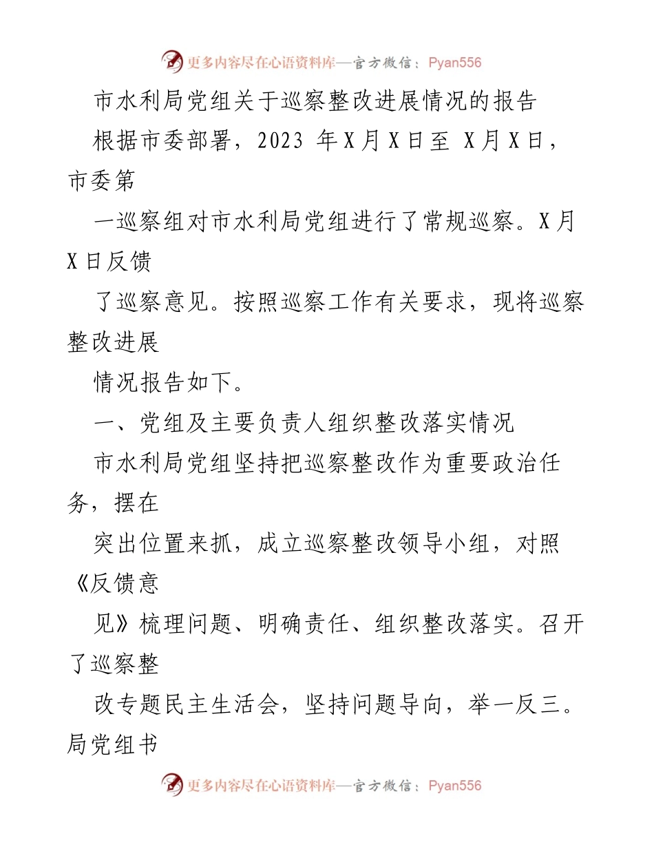 [工作总结] 巡察整改 - 市水利局党组巡察整改进展情况报告.docx_第1页