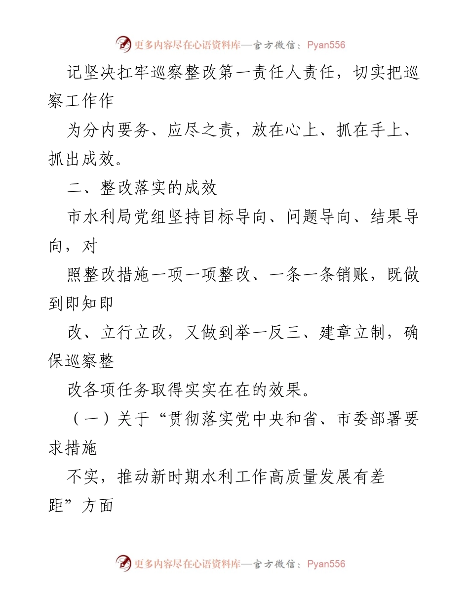 [工作总结] 巡察整改 - 市水利局党组巡察整改进展情况报告.docx_第2页