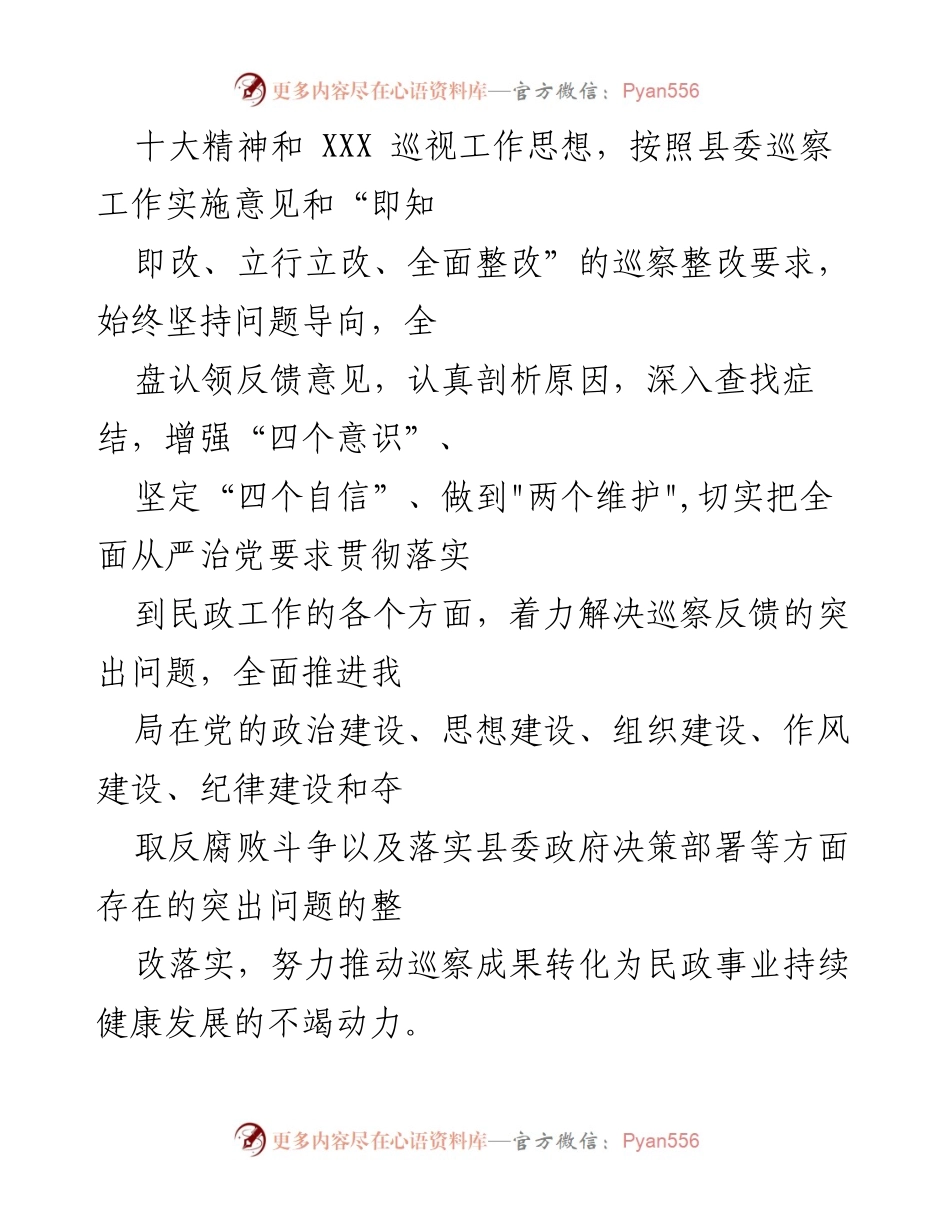[工作总结] 巡察整改 - 民政局党组巡察反馈意见整改实施方案总结.docx_第2页