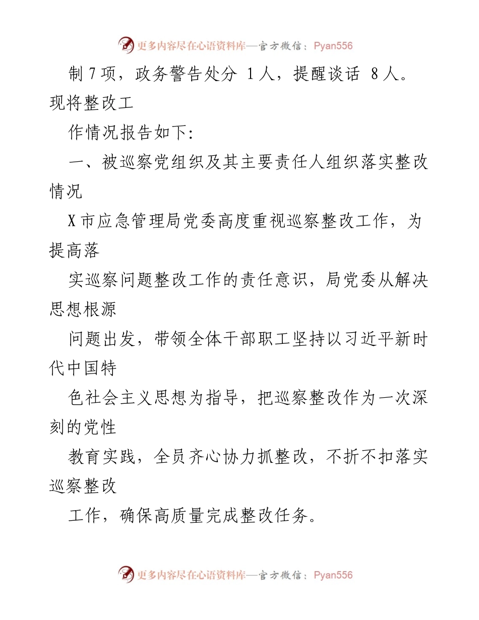 [工作总结] 巡察整改 - X市应急管理局安全生产巡察整改工作完成情况报告.docx_第2页