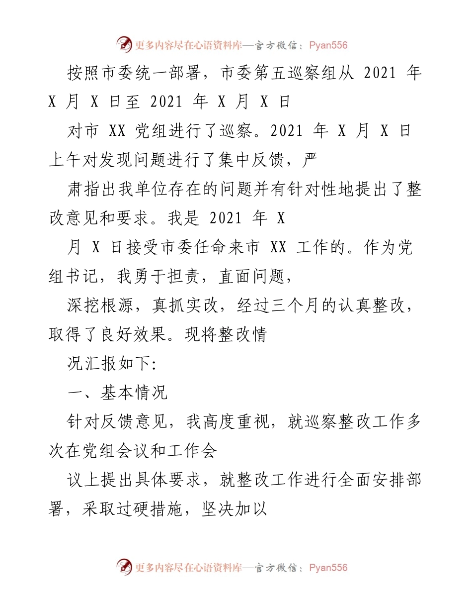 [工作总结] 巡察整改 - 市 XX 党组巡察整改工作总结报告.docx_第1页