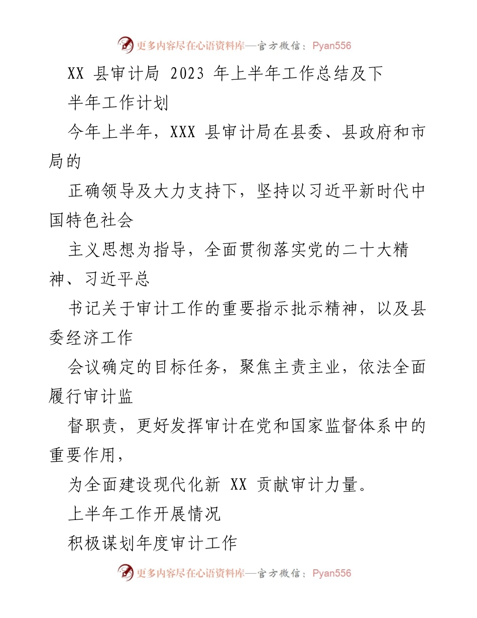 [工作总结] 审计局 - 2023年上半年工作总结与下半年计划.docx_第1页