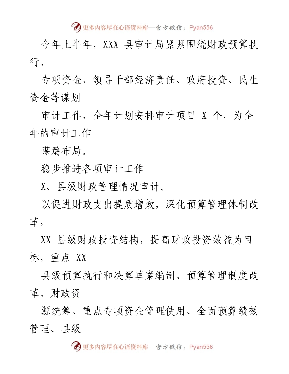 [工作总结] 审计局 - 2023年上半年工作总结与下半年计划.docx_第2页