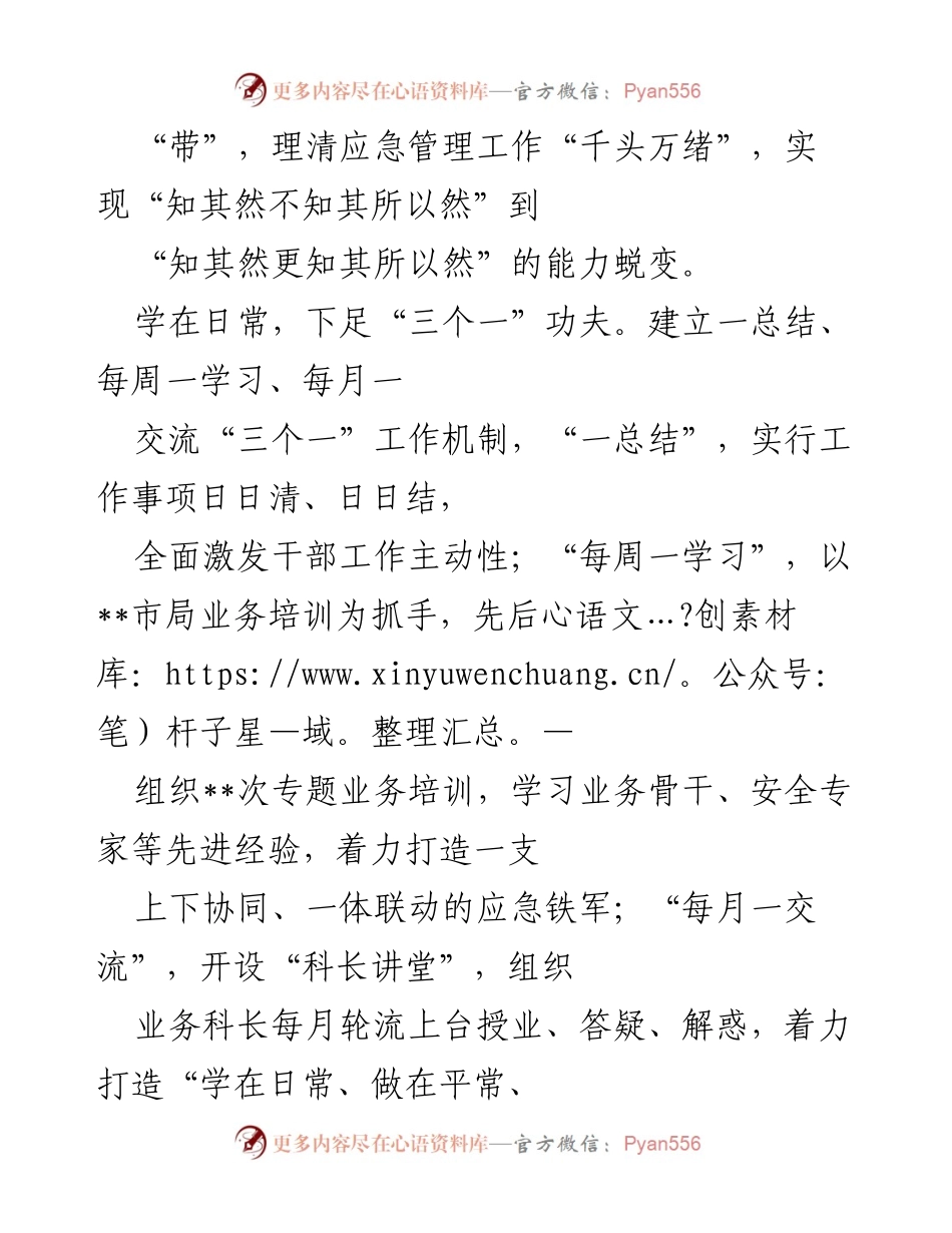 [工作总结] 市应急局 - 全面推进“大培训、大练兵、大比武、大竞赛”活动的实施与成效.docx_第2页
