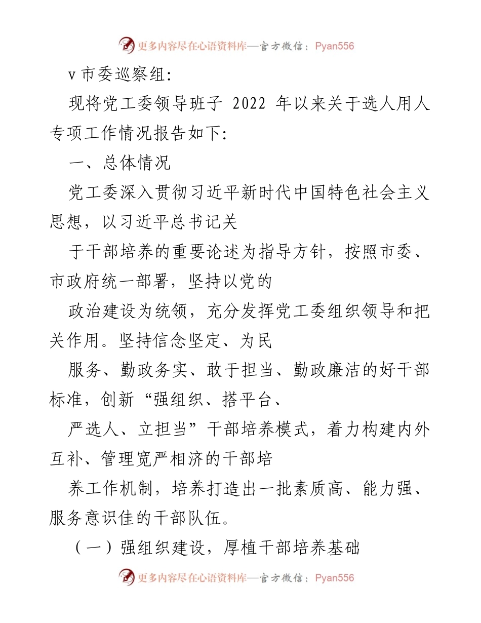 [工作总结] 市委巡察 - 党工委选人用人专项工作情况报告（2022年）.docx_第1页
