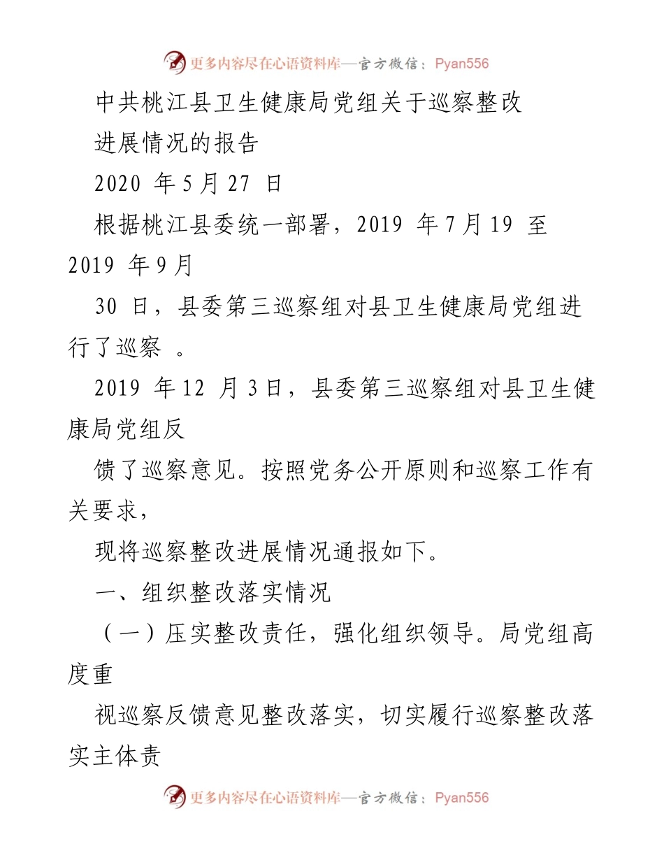 [工作总结] 巡察整改 - 桃江县卫生健康局党组巡察整改进展情况报告.docx_第1页