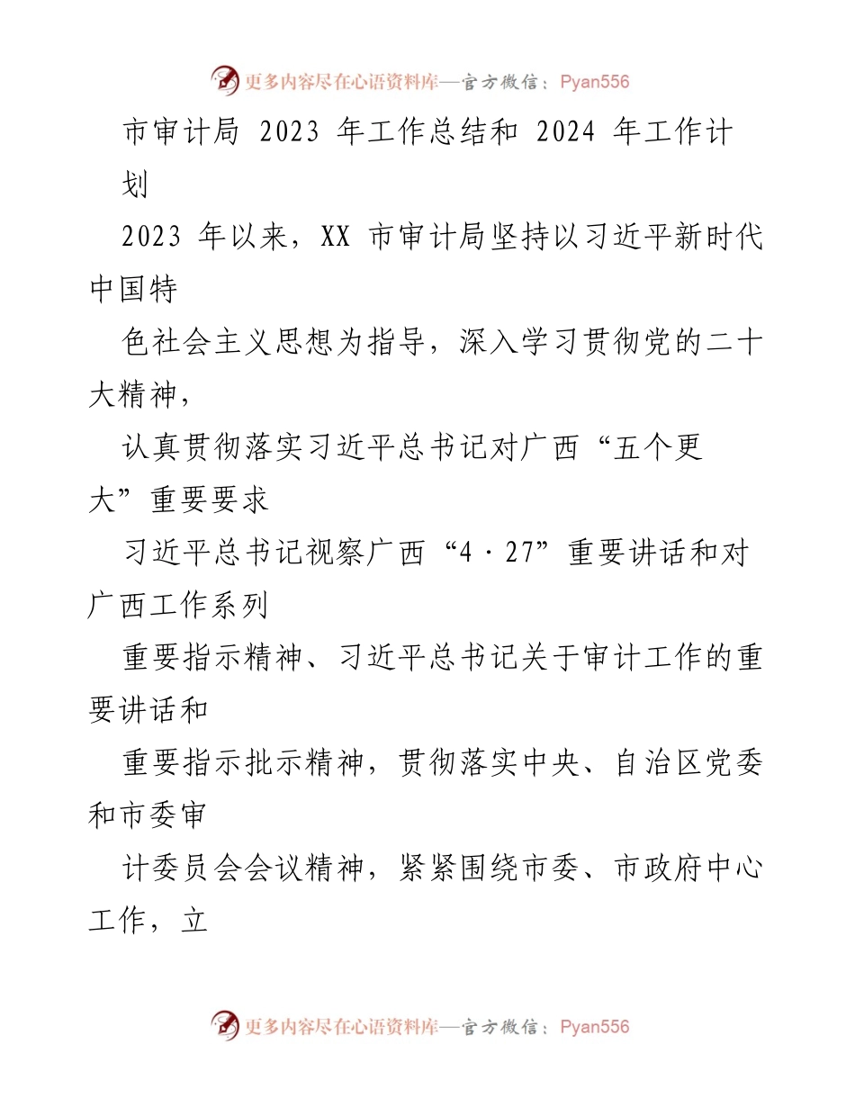 [工作总结] 市审计局 - 2023年度工作总结与2024年度工作计划.docx_第1页