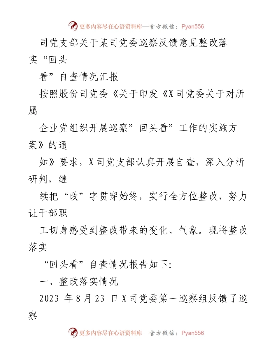[工作总结] 巡察整改 - 司党支部巡察反馈意见整改落实情况汇报.docx_第1页