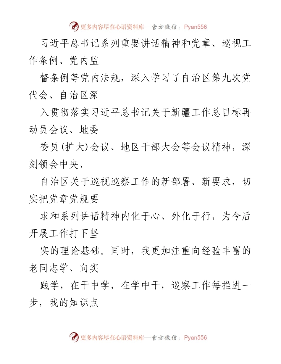 [工作总结] 巡察办 - 巡察工作个人总结与反思.docx_第2页