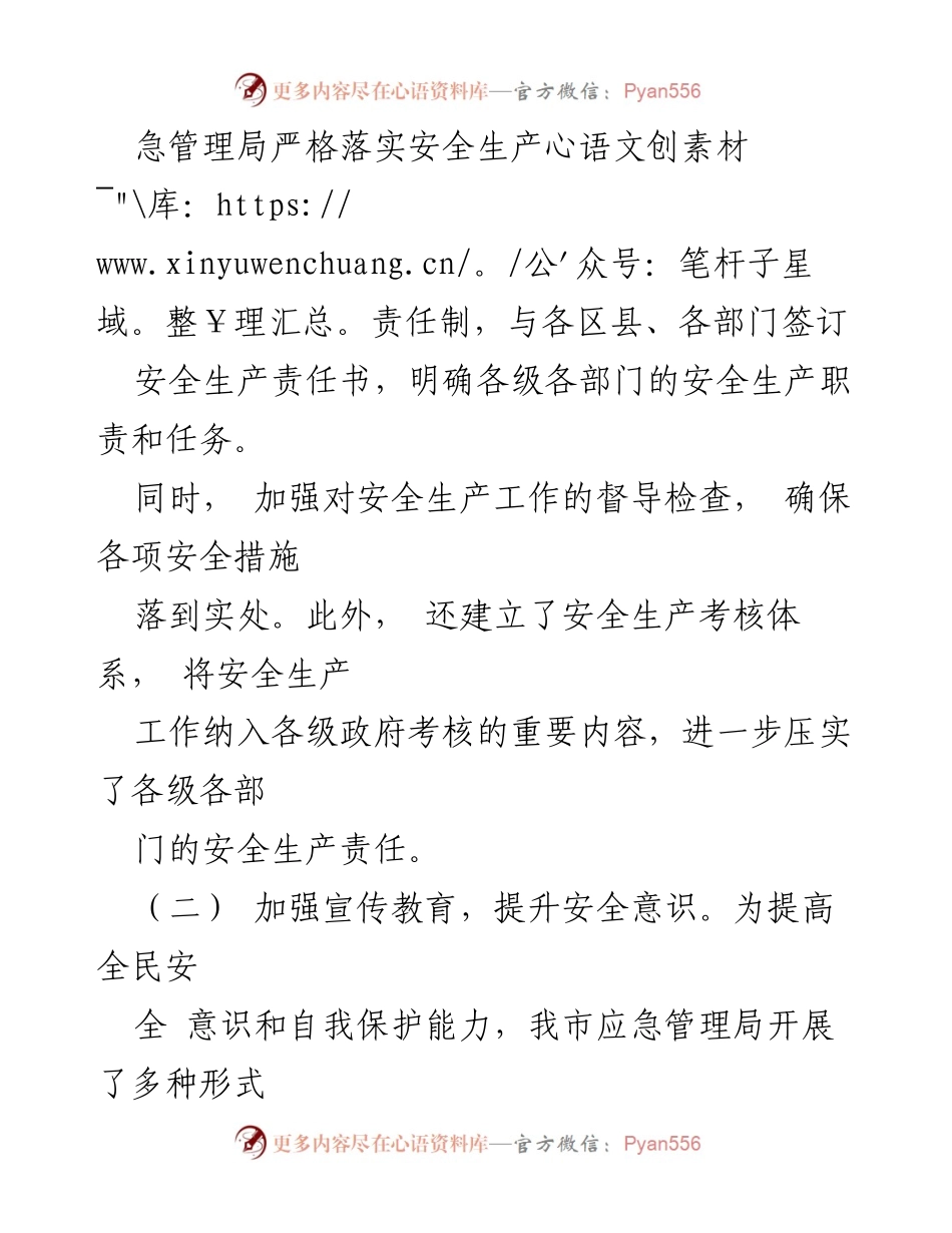 [工作总结] 市应急局 - 2024年上半年安全生产工作总结与反思.docx_第2页