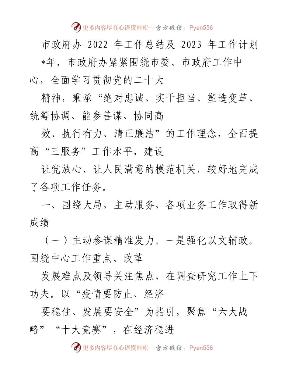 [工作总结] 市政府办 - 2022年工作总结与2023年工作计划概述.docx_第1页