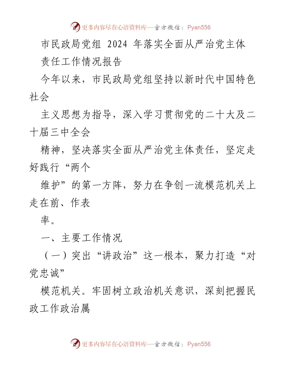 [工作总结] 市民政局 - 2024年市民政局全面从严治党主体责任落实情况报告.docx_第1页