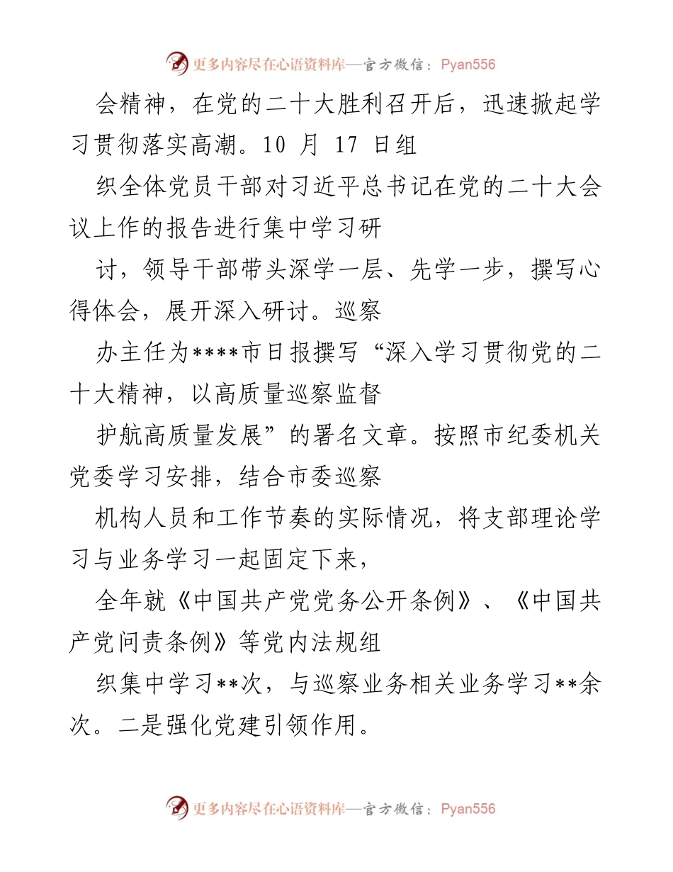 [工作总结] 市委巡察机构 - 2022年市委巡察机构党支部自身建设工作总结报告.docx_第2页