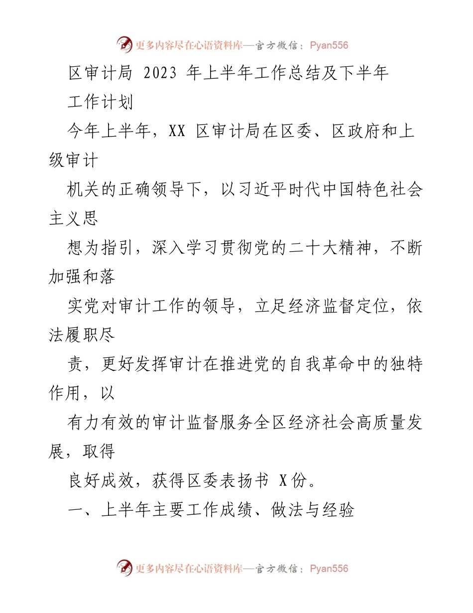 [工作总结] 审计局 - 2023年上半年审计工作总结与下半年计划_1.docx_第1页