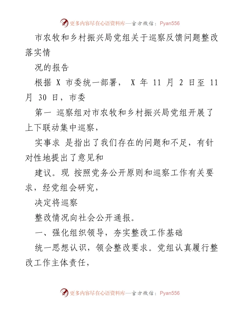[工作总结] 巡察整改 - 市农牧和乡村振兴局党组巡察整改落实情况报告.docx_第1页