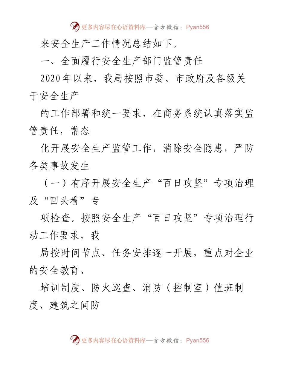 [工作总结] 年度总结 - 2020年度市商务局安全生产工作总结.docx_第2页