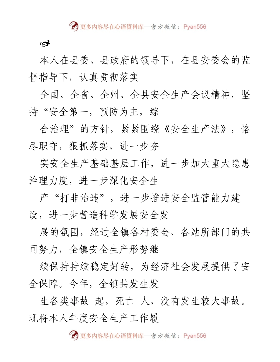 [工作总结] 安全生产工作 - 年度安全生产工作履职情况报告.docx_第1页