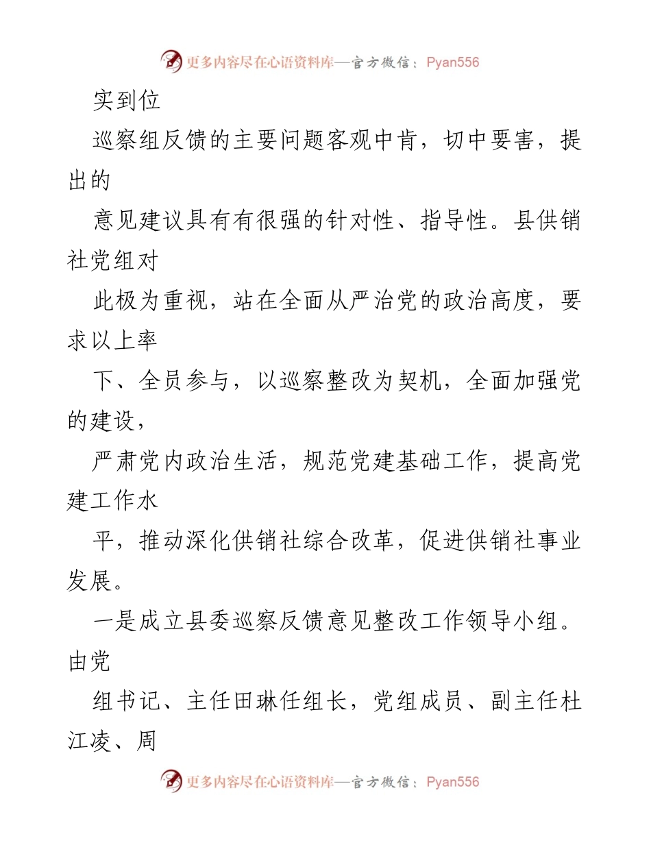 [工作总结] 巡察整改 - 县供销社巡察整改工作总结报告.docx_第2页