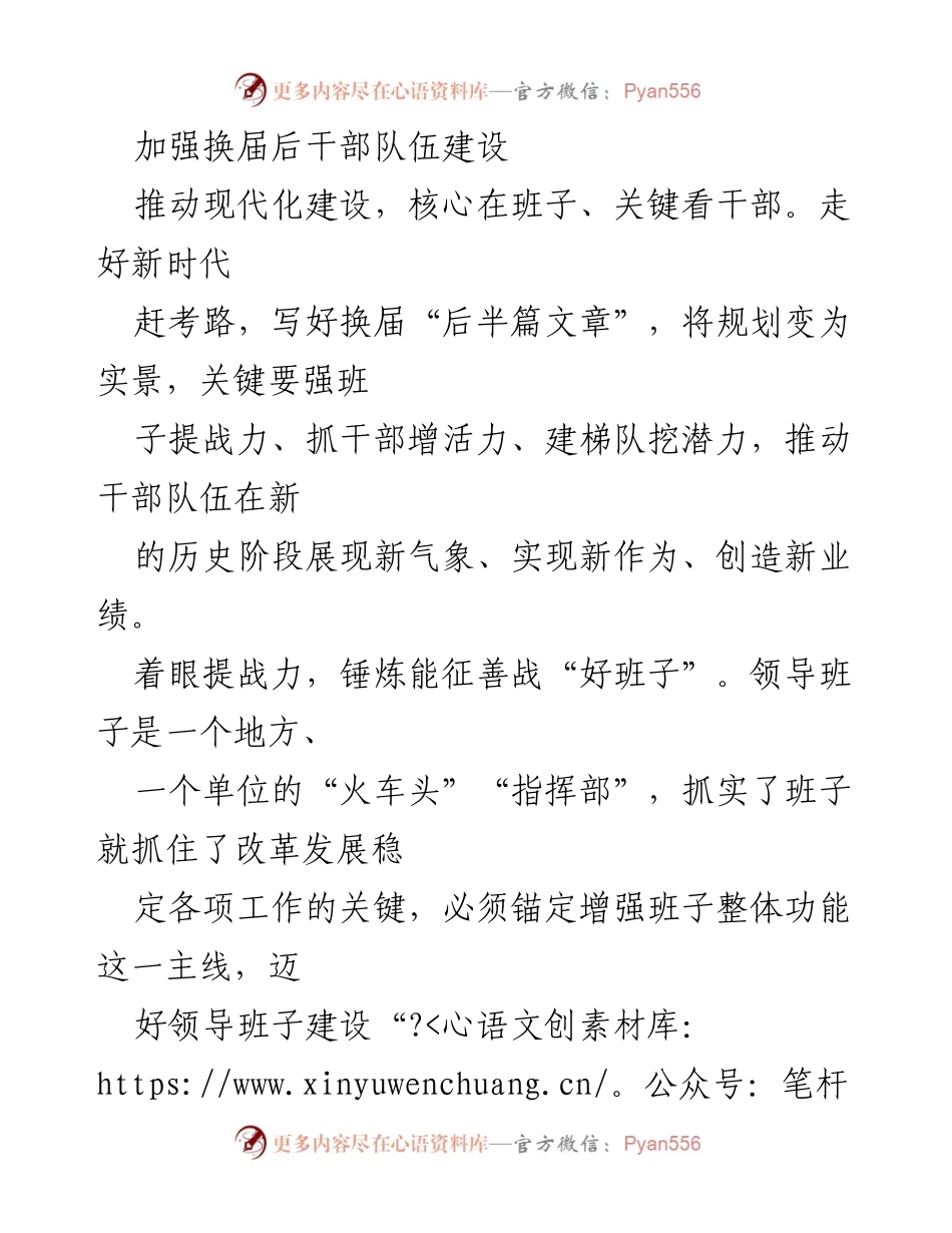 [工作总结] 干部队伍建设 - 加强换届后干部队伍建设，推动现代化发展的新举措.docx_第1页