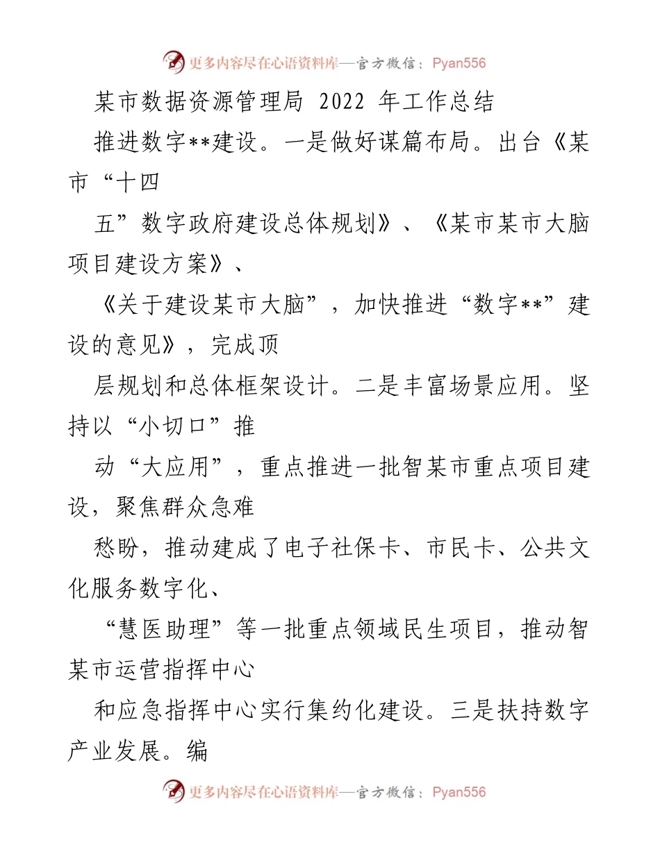 [工作总结] 年度工作汇报 - 2022年某市数据资源管理局工作总结与数字建设推进.docx_第1页