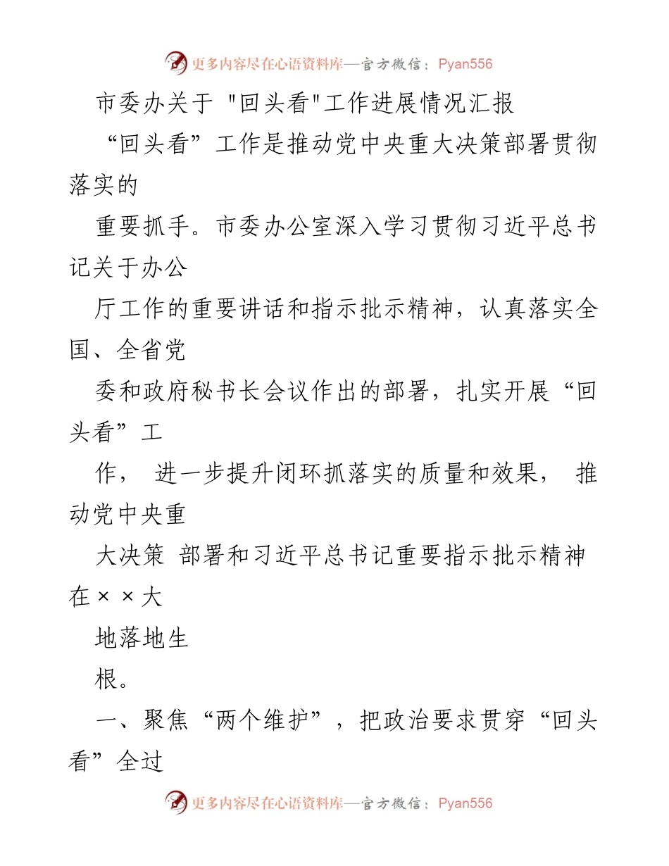 [工作总结] 市委办 - “回头看”工作进展情况汇报及落实措施.docx_第1页