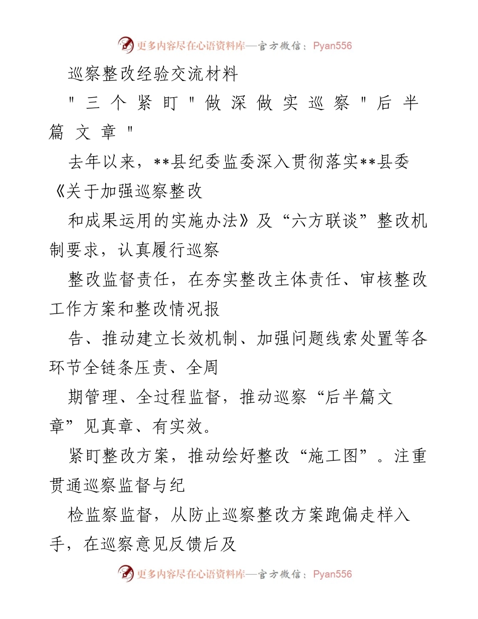 [工作总结] 巡察整改 - 深化巡察整改经验与实践总结.docx_第1页