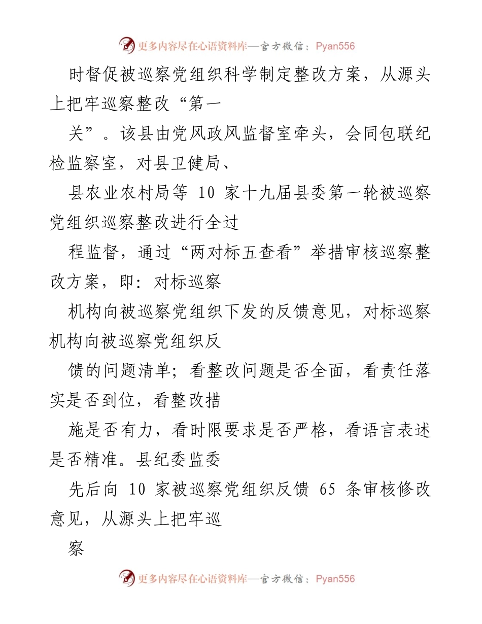 [工作总结] 巡察整改 - 深化巡察整改经验与实践总结.docx_第2页
