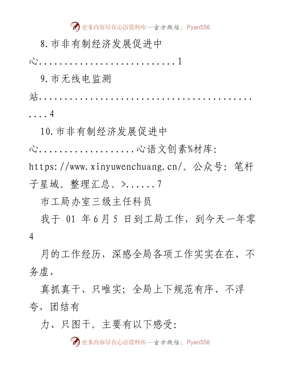 [工作总结] 市工局工作经历与成效汇报.docx_第2页