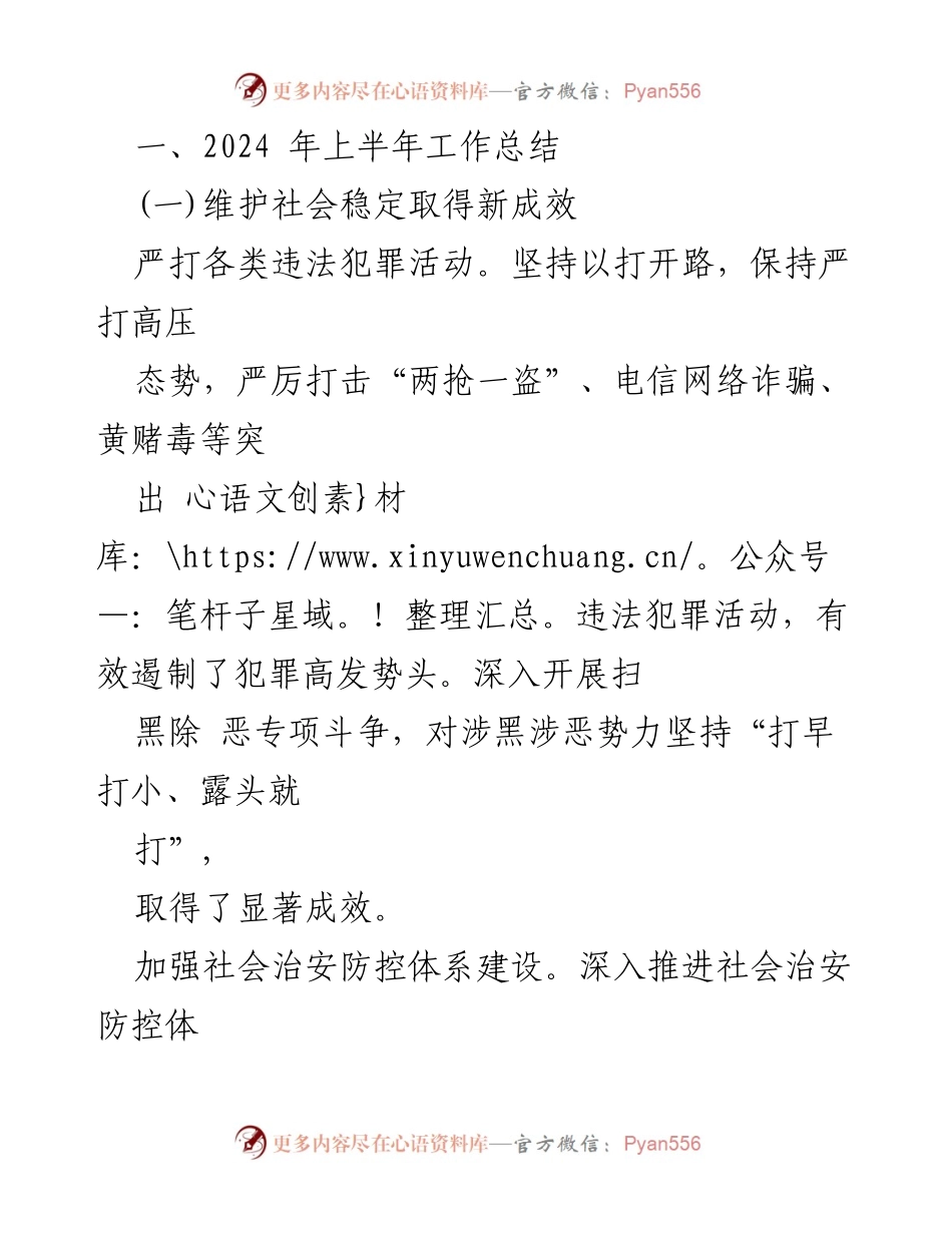 [工作总结] 市公安局 - 2024年上半年工作总结与下半年工作计划.docx_第2页